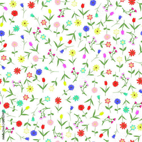 Seamles hand drawn floral pattern isolated on white background vector illustration. Many random flowers, many colors. Early spring or summer flowers set.