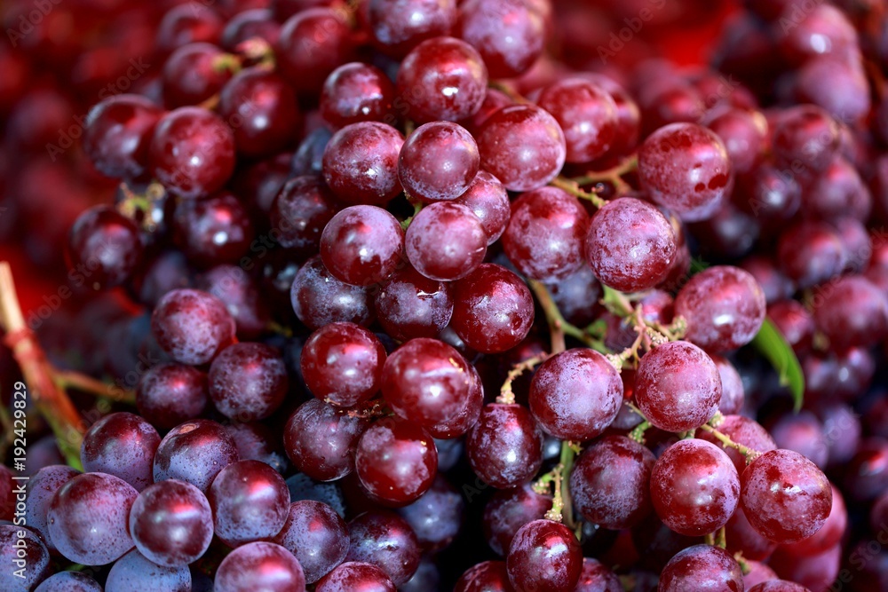 Fototapeta premium Grapefruit