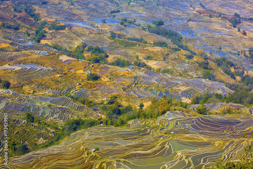 Yunnan Yuanyang terraces