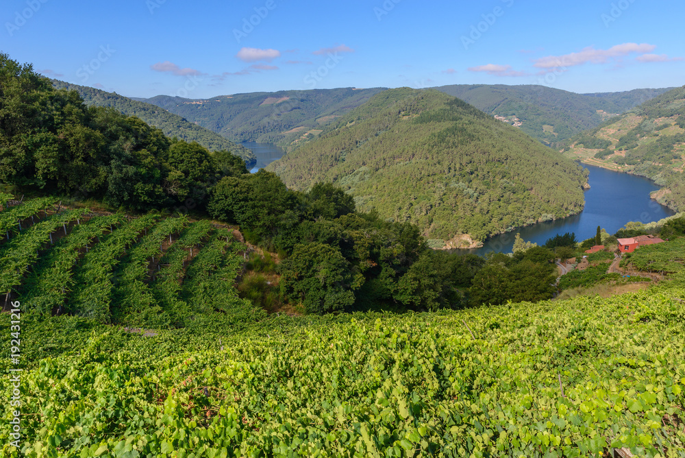 Obraz premium Cabo do Mundo meander in Minho river, Lugo, Spain