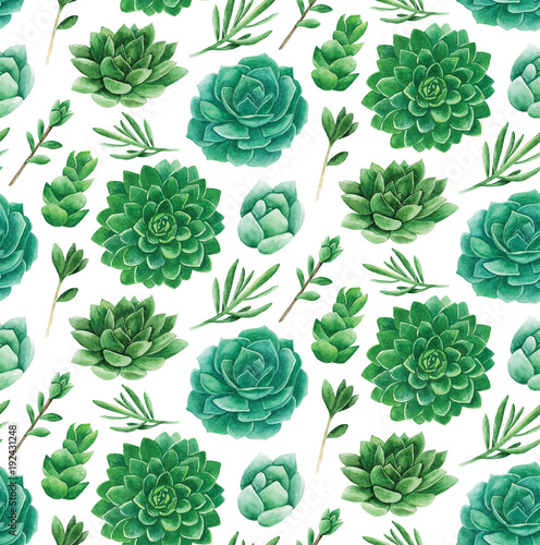 Watercolor green succulents...