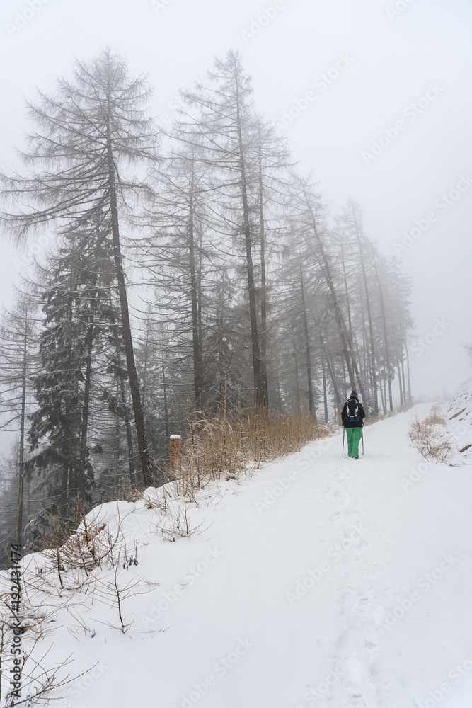 Tourist in winter misty forest