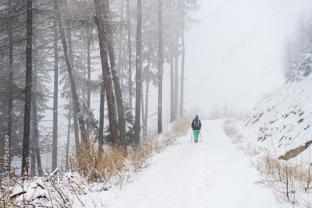 Tourist in winter misty forest