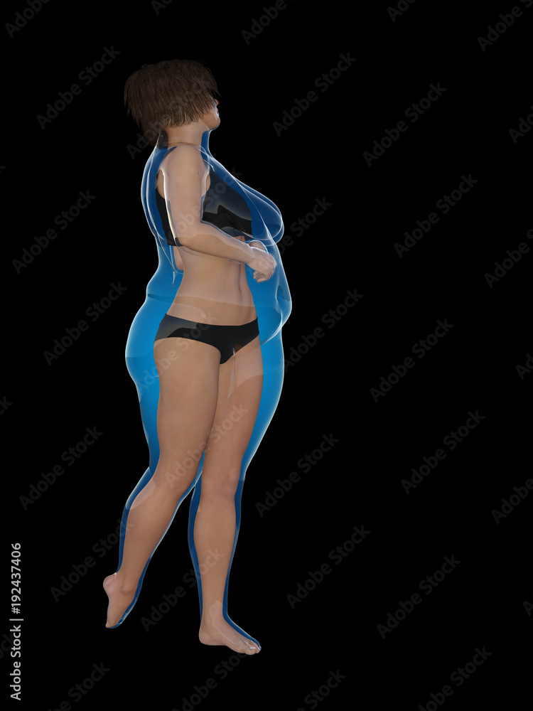 Conceptual fat overweight obese female vs slim fit healthy body after weight loss or diet with muscles thin young woman isolated. A fitness, nutrition or fatness obesity, health shape 3D illustration Conceptual fat overweight obese female vs slim fit healthy body after weight loss or diet with muscles thin young woman isolated. A fitness, nutrition or fatness obesity, health shape 3D illustration