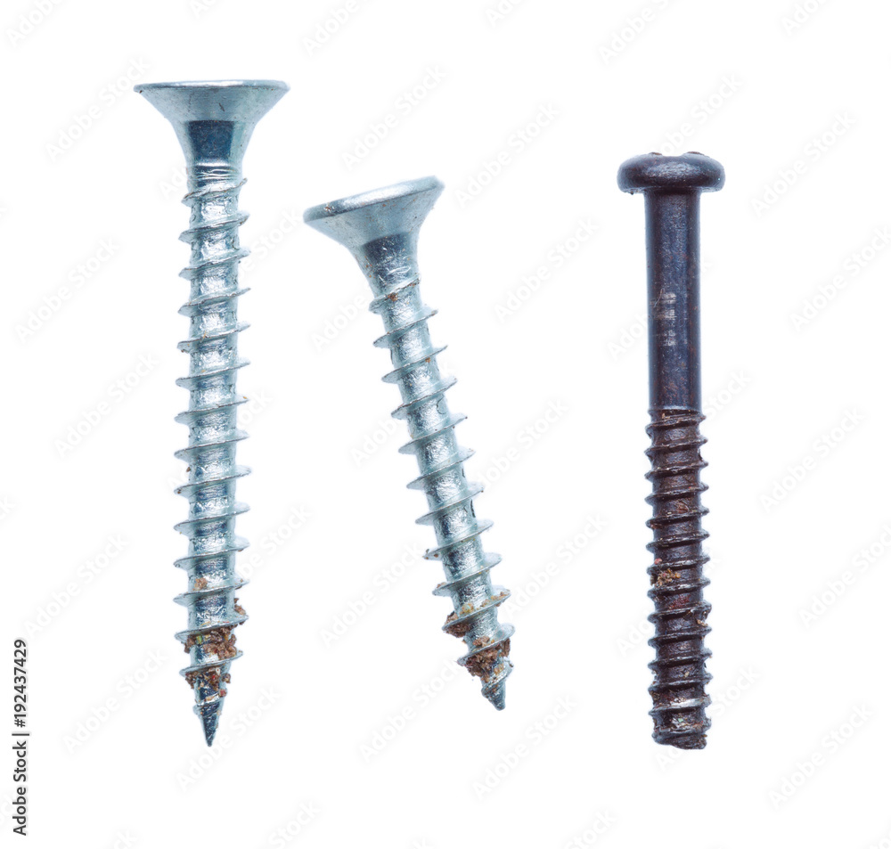 screw isolated on white screw isolated on white