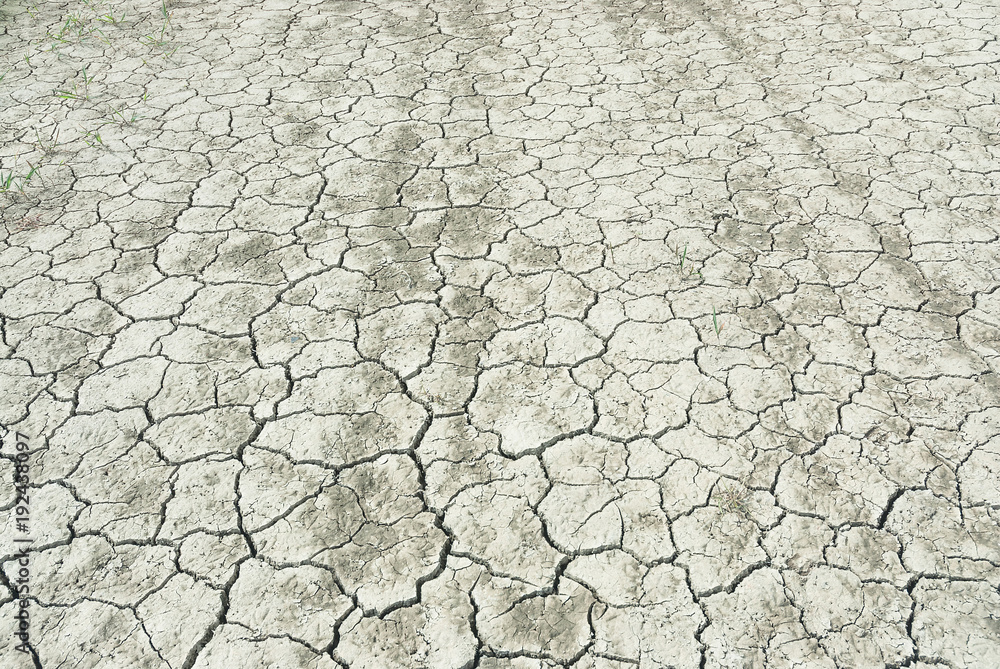 Drought - disaster - 20282816 Drought - disaster - 20282816