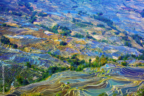 Obraz na plátně Yunnan Yuanyang titian