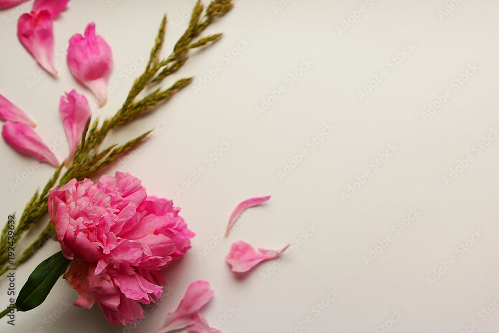 live peonies on a white letter
