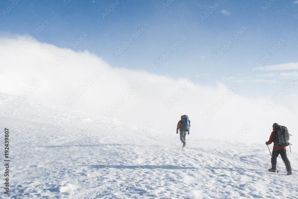 hikers walking on snowy mountains in winter in cloudy weather, Carpathian Mountains, Ukraine