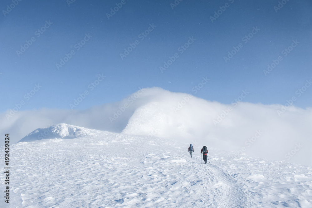 rear view of hikers walking on snowy mountains in winter, Carpathian Mountains, Ukraine