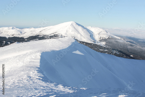 scenic view of peaks of mountains and forest covered with snow, Carpathian Mountains, Ukraine