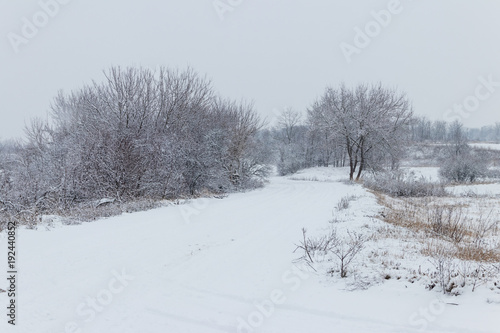 Snowy road during snowfall. Winter rural landscape © olyasolodenko