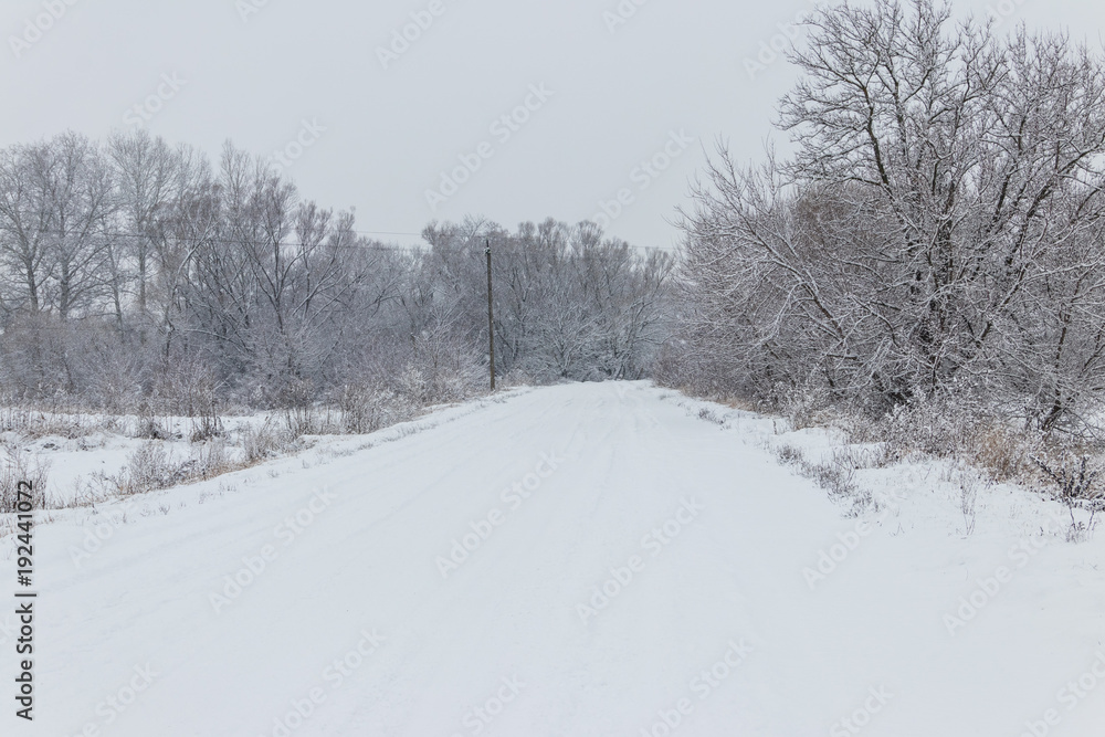Fototapeta premium Snowy road during snowfall. Winter rural landscape