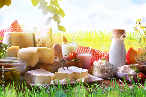 Canvas-taulu Assortment of dairy products on grass in the meadow