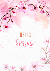 Cherry blossom on pink watercolor background.