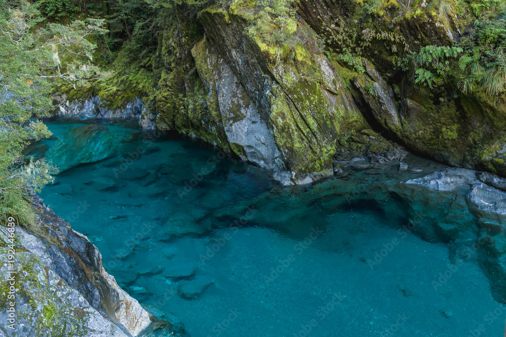 Blue River at Blue Pools track in the South Island of New Zealand. Blue pool track is a short walk from State Highway 6, Haast Pass