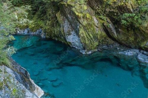 Blue River at Blue Pools track in the South Island of New Zealand. Blue pool track is a short walk from State Highway 6, Haast Pass