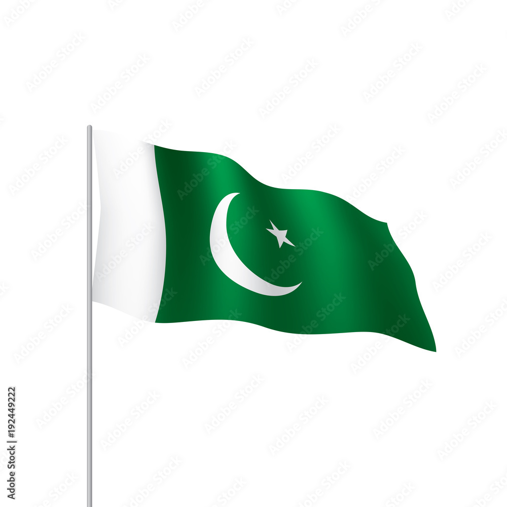 Pakistan flag, vector illustration Pakistan flag, vector illustration