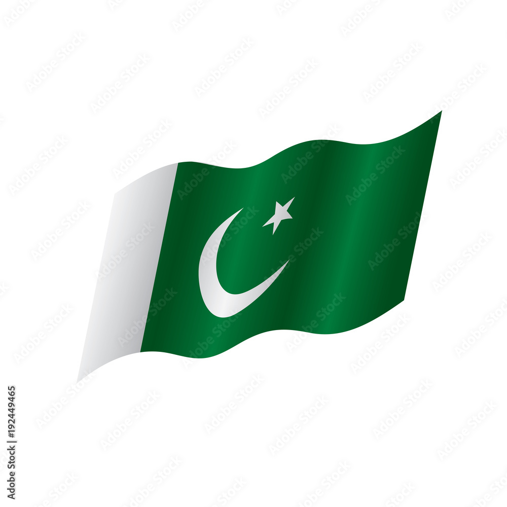 Pakistan flag, vector illustration Pakistan flag, vector illustration