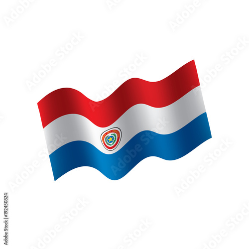Paraguay flag  vector illustration