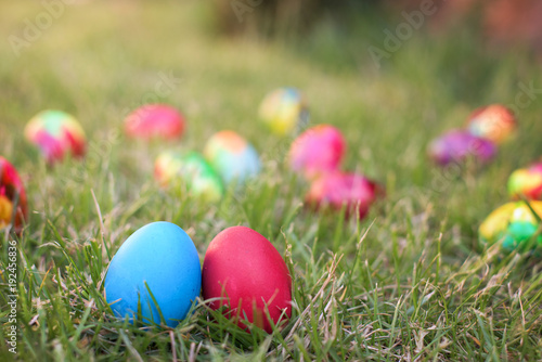 Blue and red easter hen eggs