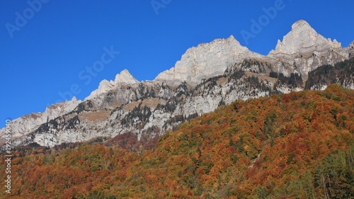 Multi colored autumn forest and mountain peaks of the Churfirsten Range. View from Walenstadt, Switzerland.