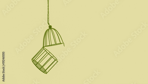 bird cage isolated on color background