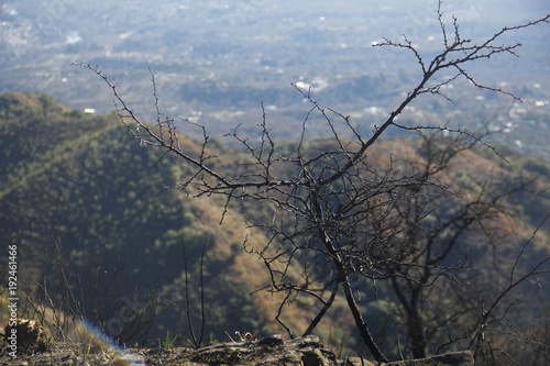Cerro