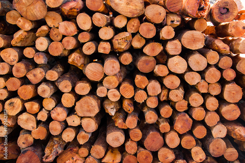 Natural wooden background - closeup of chopped firewood.