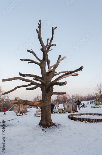 Winter at normafa in Budapest photo