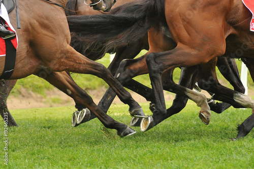 Horse racing action