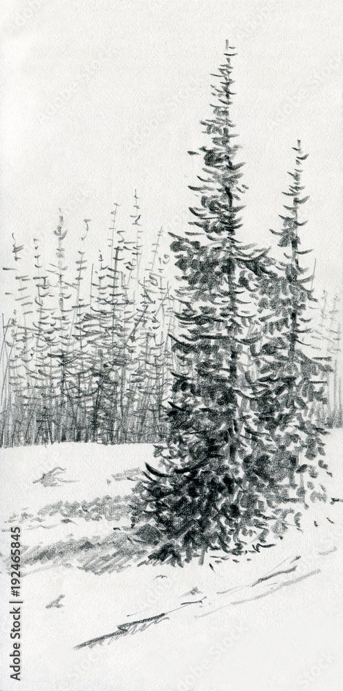 Fototapeta premium Winter landscape