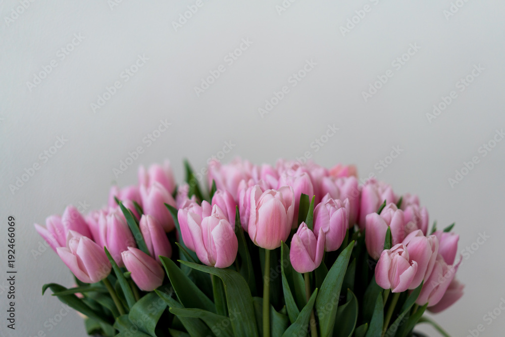 Fototapeta premium Bunch of soft pink tulips on a white background with copy space above.