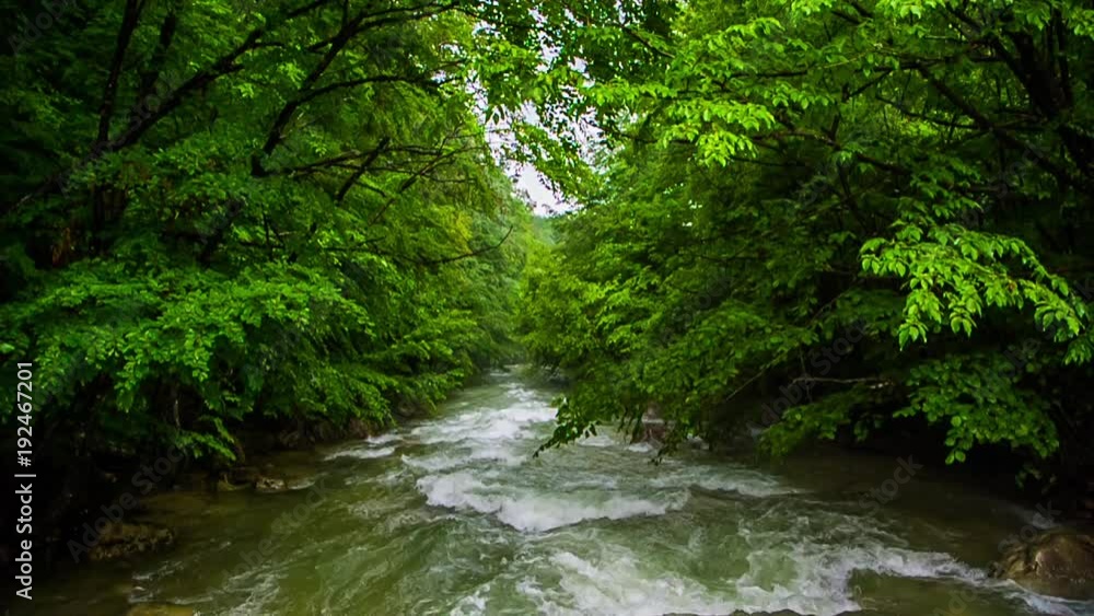 river rapids in the forest. Slow motion. river rapids in the forest. Slow motion.