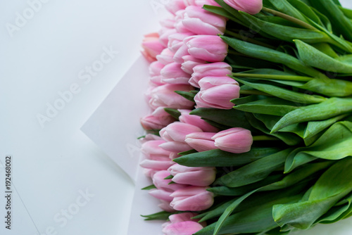 Fototapeta Naklejka Na Ścianę i Meble -  Tenderness of first tulips in spring. Soft pink fresh cut bunch of flowers.