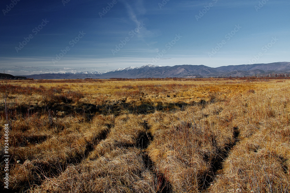Naklejka premium Landscape