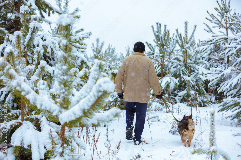 Man with dog on a leash walks in snowy forest in winter