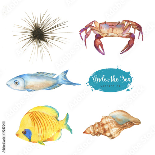Hand-drawn watercolor illustration of the under the sea. Set of marine objects isolated on the white background