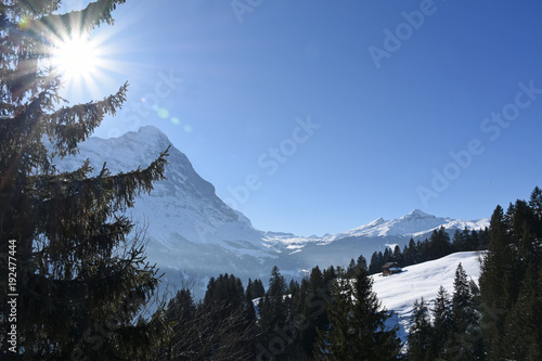 Valley of Grindelwald, Switzerland, and surrounding mountains at a winter day photo