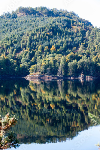 Fototapeta Naklejka Na Ścianę i Meble -  Landscape with beautiful green scottish forest, mountains and lake