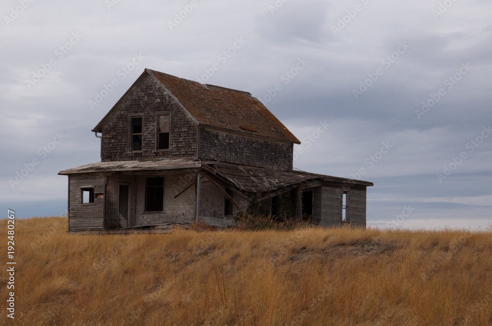 Abandoned House on a golden field Abandoned House on a golden field
