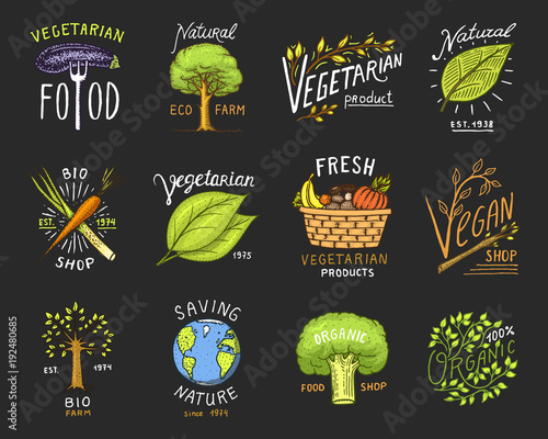 Healthy Organic food logos set or labels and elements for Vegetarian and Farm green natural vegetables products, vector illustration. badges healthy life. engraved hand drawn in old sketch.