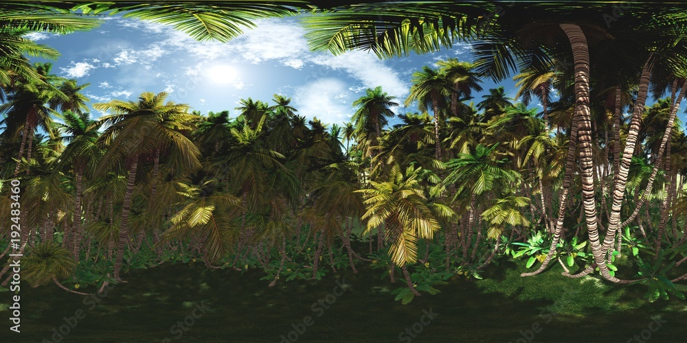 Naklejka premium HDRI, high resolution map, environment map, Round panorama, spherical panorama, equidistant projection, tropical forest 