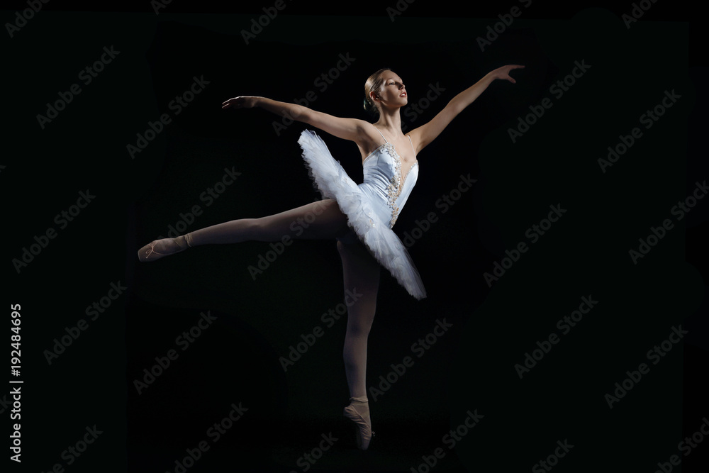 jeune danseuse ballerine en tutu plateau et pointes classique Stock-foto |  Adobe Stock