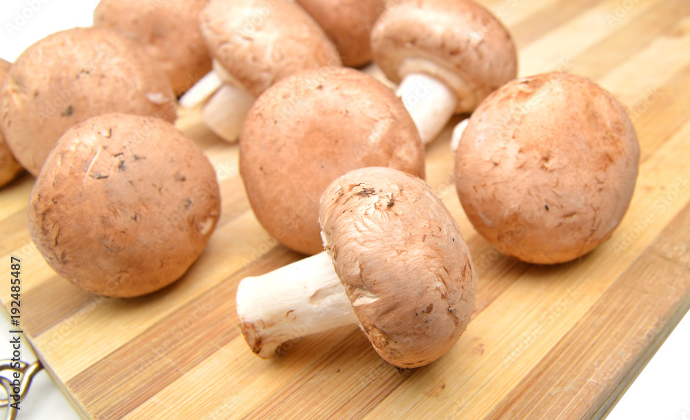 mushrooms vegetables isolated on wooden board mushrooms vegetables isolated on wooden board