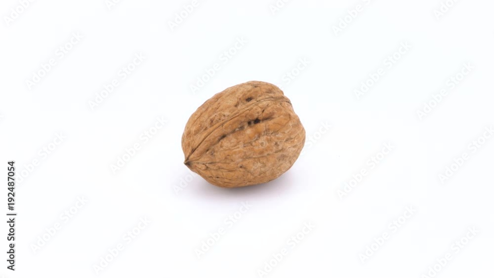 Single walnut isolated rotating on white background (loopable) Single walnut isolated rotating on white background (loopable)
