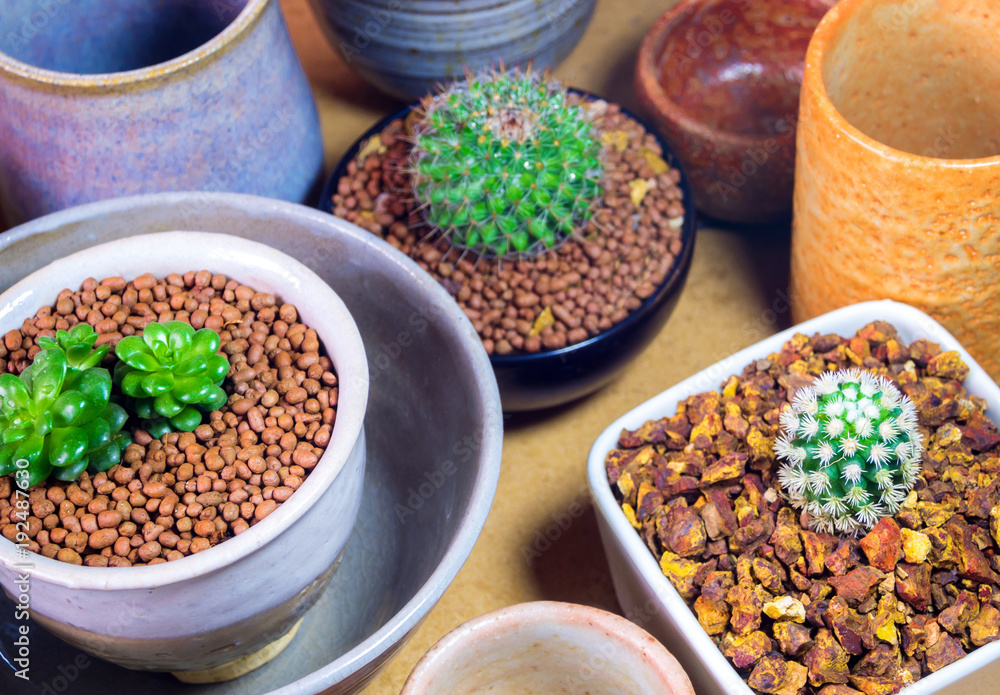 Ceramic bowls prepared to use for houseplant pot