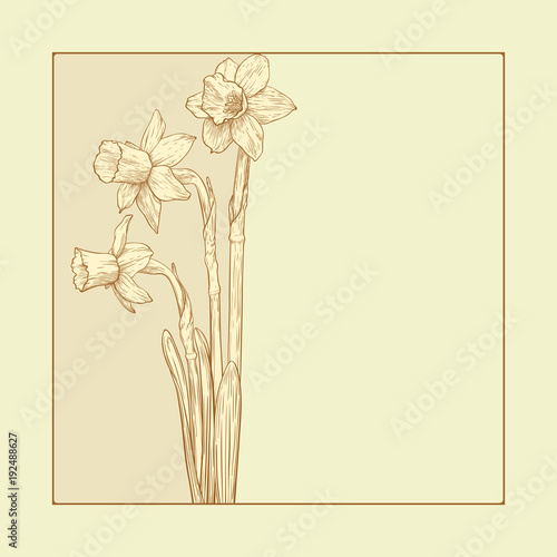 Fototapeta Naklejka Na Ścianę i Meble -  Vector invitation card.