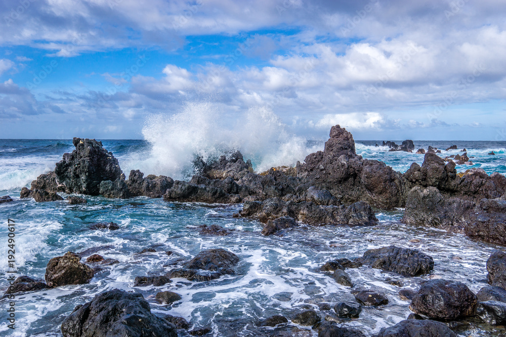 Obraz premium Bid Island Coast 10