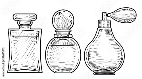 Perfume bottles illustration, drawing, engraving, ink, line art, vector